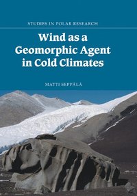 bokomslag Wind as a Geomorphic Agent in Cold Climates