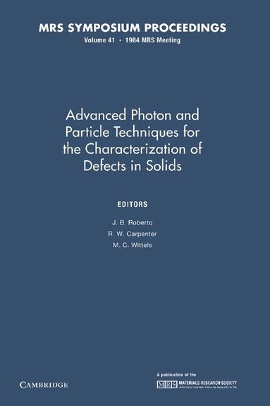 J. B. Roberto, R. W. Carpenter, M. C. Wittels - Advanced Photon and Particle Techniques for the Characterization of Defects in Solids: Volume 41, Häftad