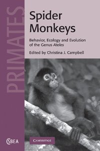 bokomslag Spider Monkeys