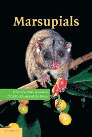 bokomslag Marsupials