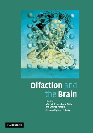 Warrick J. Brewer, David Castle, Christos Pantelis - Olfaction and the Brain, Häftad