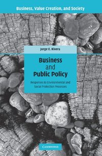 bokomslag Business and Public Policy