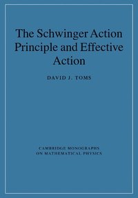 bokomslag The Schwinger Action Principle and Effective Action