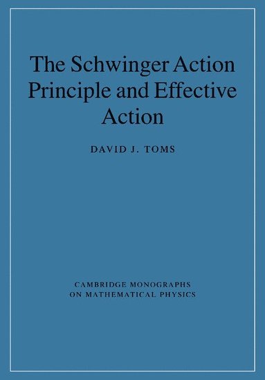 bokomslag The Schwinger Action Principle and Effective Action