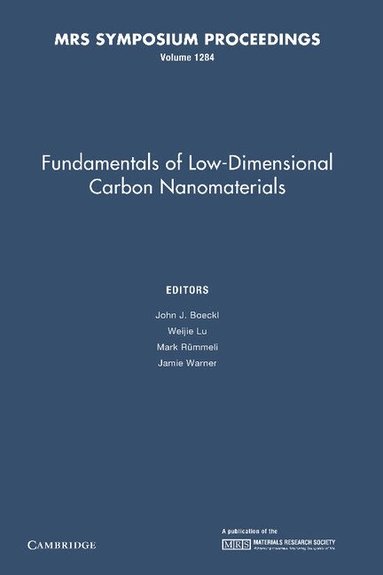 John J. Boeckl, Mark Rümmeli, Weijie Lu, Jamie Warner - Fundamentals of Low-Dimensional Carbon Nanomaterials: Volume 1284, Häftad