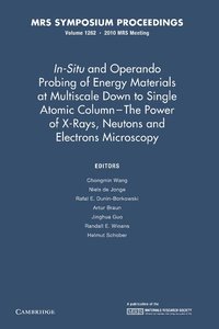 bokomslag In-Situ and Operando Probing of Energy Materials at Multiscale Down to Single Atomic Column - The Power of X-Rays, Neutrons and Electron Microscopy: Volume 1262