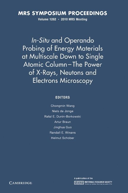 In-Situ and Operando Probing of Energy Materials at Multiscale Down to Single Atomic Column - The Power of X-Rays, Neutrons and Electron Microscopy: Volume 1262 1