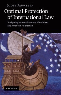 bokomslag Optimal Protection of International Law