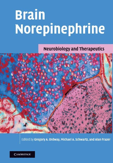 Gregory A. Ordway, Michael A. Schwartz, Alan Frazer, Gregory A. (University of Mississippi) Ordway, Manoa) Schwartz, Michael A. (University of Hawaii, San Antonio) Frazer, Alan (University of Texas Health Science Center - Brain Norepinephrine, Häftad