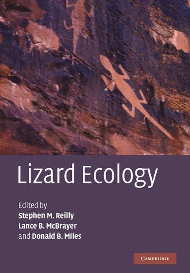 bokomslag Lizard Ecology