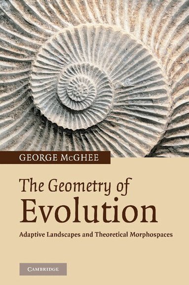 George R. McGhee Jr - The Geometry of Evolution, Häftad