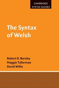 bokomslag The Syntax of Welsh