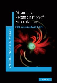 bokomslag Dissociative Recombination of Molecular Ions