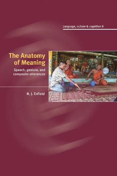 bokomslag The Anatomy of Meaning