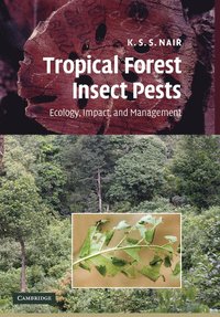 bokomslag Tropical Forest Insect Pests