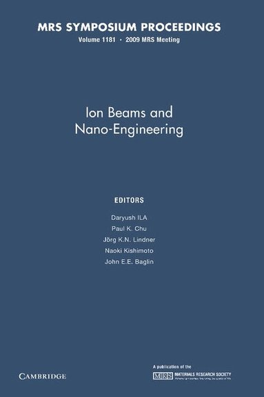 Daryush Ila, Paul K. Chu, Jörg K. N. Lindner, Naoki Kishimoto, John E. E. Baglin - Ion Beams and Nano-Engineering: Volume 1181, Häftad