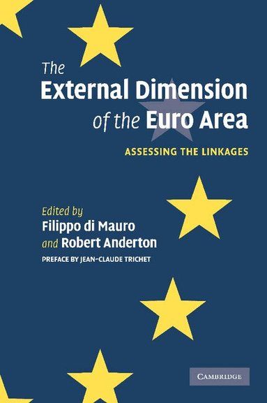 Filippo Di Mauro, Robert Anderton - The External Dimension of the Euro Area, Häftad