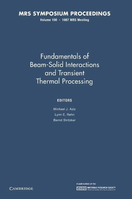Michael J. Aziz, Lynn E. Rehn, Bernd Stritzker - Fundamentals of Beam-Solid Interactions and Transient Thermal Processing: Volume 100, Häftad