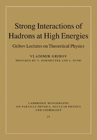 bokomslag Strong Interactions of Hadrons at High Energies