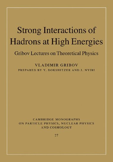 bokomslag Strong Interactions of Hadrons at High Energies