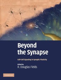 bokomslag Beyond the Synapse
