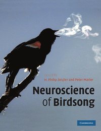 bokomslag Neuroscience of Birdsong