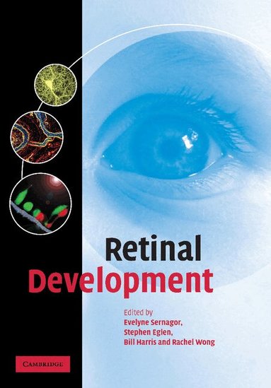 Evelyne Sernagor, Stephen Eglen, Bill Harris, Rachel Wong - Retinal Development, Häftad