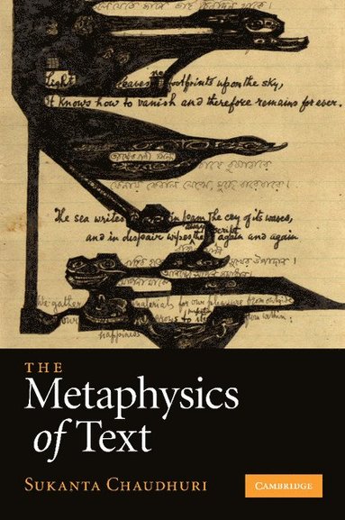 bokomslag The Metaphysics of Text