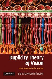 bokomslag Duplicity Theory of Vision