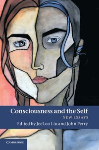 bokomslag Consciousness and the Self