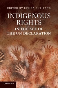 bokomslag Indigenous Rights in the Age of the UN Declaration