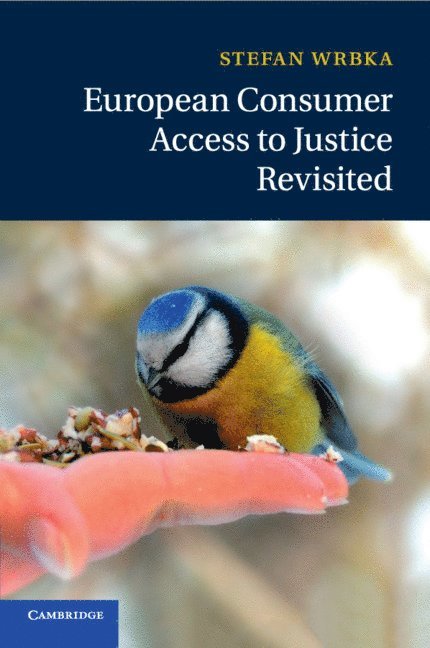 European Consumer Access to Justice Revisited 1