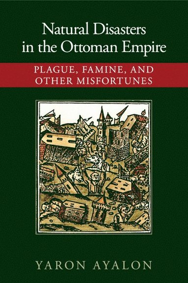 bokomslag Natural Disasters in the Ottoman Empire