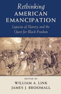 bokomslag Rethinking American Emancipation