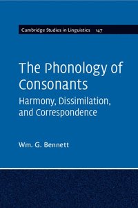 bokomslag The Phonology of Consonants