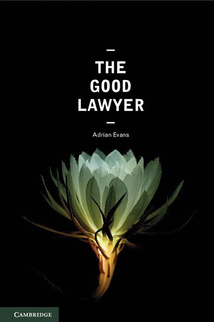 The Good Lawyer 1