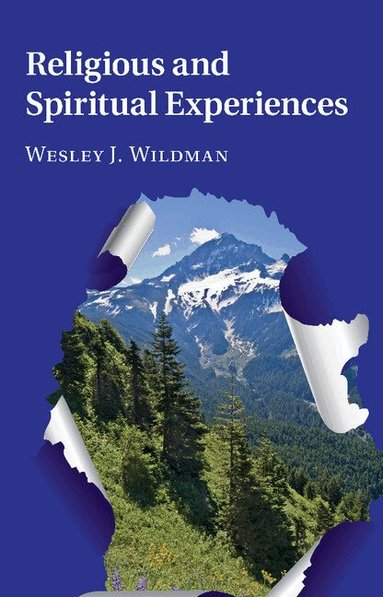 Wesley J. Wildman - Religious and Spiritual Experiences, Häftad