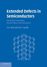 bokomslag Extended Defects in Semiconductors