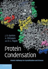 bokomslag Protein Condensation