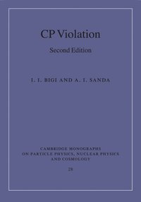 bokomslag CP Violation