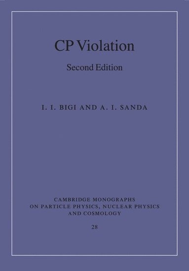 bokomslag CP Violation