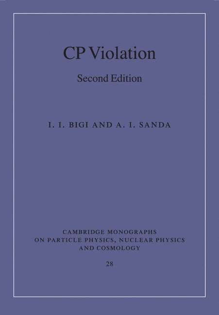 CP Violation