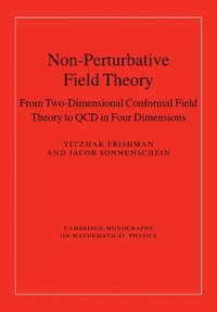 bokomslag Non-Perturbative Field Theory