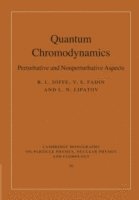 bokomslag Quantum Chromodynamics