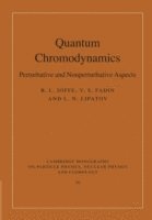Quantum Chromodynamics 1