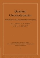 Quantum Chromodynamics
