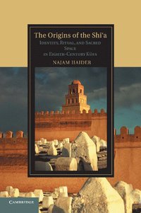 bokomslag The Origins of the Shi'a