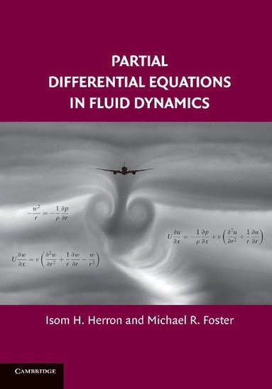 bokomslag Partial Differential Equations in Fluid Dynamics
