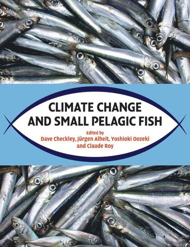 bokomslag Climate Change and Small Pelagic Fish