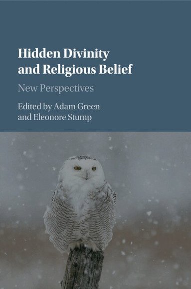 Adam Green, Eleonore Stump - Hidden Divinity and Religious Belief, Häftad